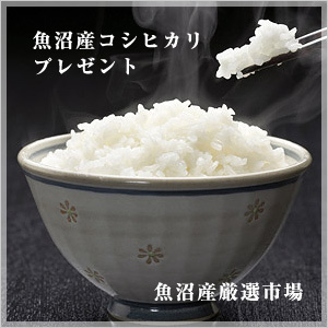 お米プレゼント