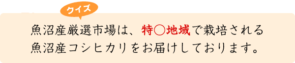 お米クイズ